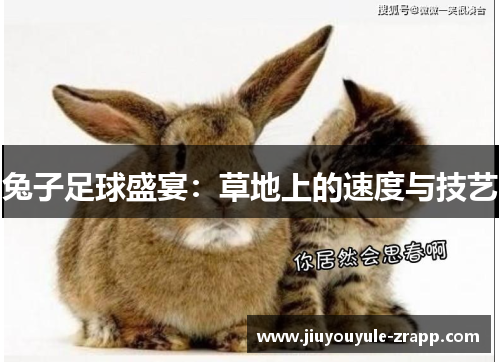 兔子足球盛宴：草地上的速度与技艺