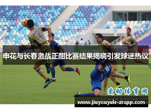申花与长春激战正酣比赛结果揭晓引发球迷热议